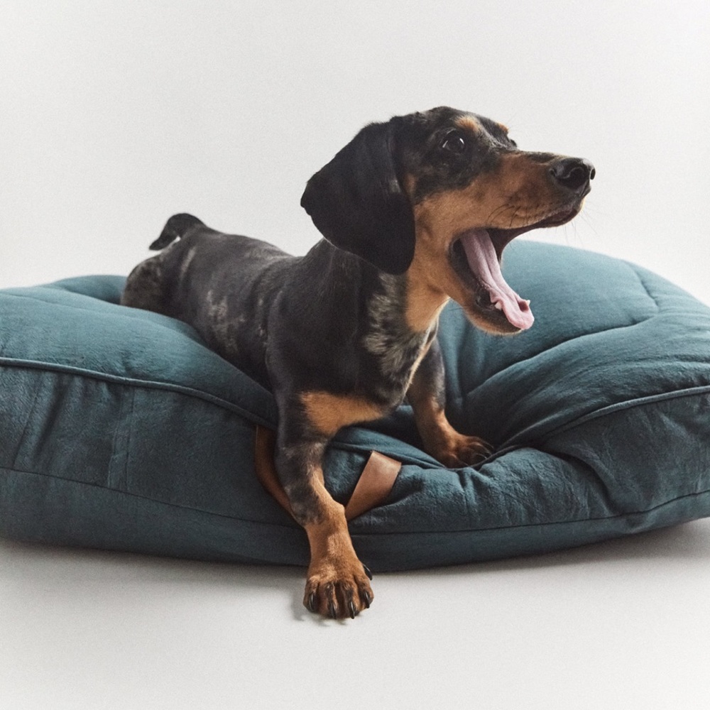 ZARA Pet Home Cotton and Linen PADDED Dog Cat Bed